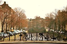 bicycles are parked in front of a fenced area with cars and buildings on the other side