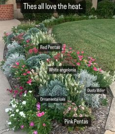 the different types of flowers in front of a house with words describing them on it