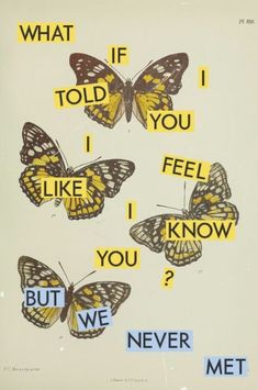 four butterflies with words written on them in different languages, and one butterfly has the word what if i told you?