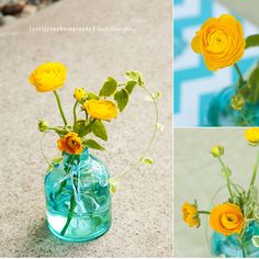 three pictures of yellow flowers in a blue glass vase with water and rocks on the ground