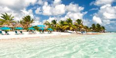 the beach is lined with palm trees and umbrellas