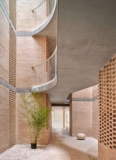 the inside of a building with plants and rocks on the ground