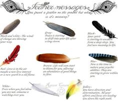 Feather Color Meaning, Feather Magic, Finding Feathers, Feather Meaning, Types Of Feathers, Angel Signs, Angel Feathers, Color Meanings, Feather Tattoo