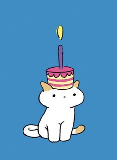 a cat with a birthday cake on it's head sitting in front of a blue background