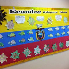 a bulletin board with several different types of sea turtles on it and words written in spanish