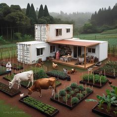 two cows standing in front of a house made out of shipping containers and farm equipment