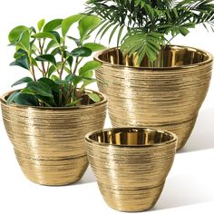 PRICES MAY VARY. 🪙 『Metal-liked Gold Ceramic Flower Pots Finish』These set of 3 pack gold planters(larger 7.1"/medium 6"/small 5") feature extremely characteristic elegant metal effect, natural brushed gold finish, with bright gold elements, the natural flow of light luxury and modern style, highlighting your artistic taste and adding elegance in your home. ✊『Unique Stylish Design Yet Durable Made』Have surface metalized after these flower plant pots get fired under medium range temperature to pr Houseplant Pots, Gold Planter, Planters For Sale, House Plant Pots, Ceramic Planter Pots, Brass Planter, Self Watering Planter, Ceramic Flower Pots, Ceramic Plant Pots