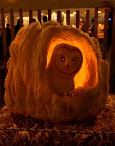 a pumpkin carved to look like an owl sitting in a cave with its eyes open