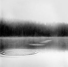 a black and white photo of water with trees in the background