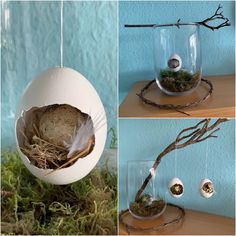 there are three pictures of birds nests in glass vases with branches and eggs