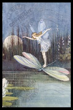 an illustration of a fairy on a lily pad in the water with two white flowers