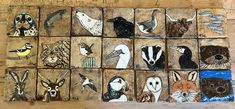 several pictures of different animals and birds on wood