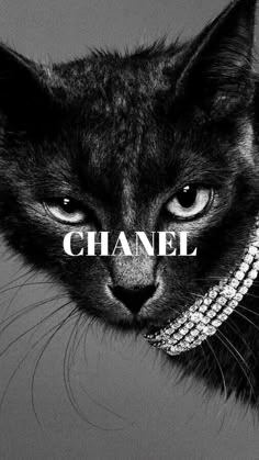 a black and white photo of a cat with the word chanel on it's face