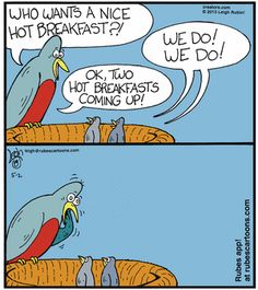 a comic strip with an image of a bird on top of a bed and the caption, who wants a nice breakfast? we do we do