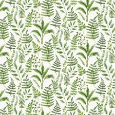 a green and white floral pattern on a white wallpaper with lots of small leaves