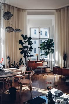 a living room filled with furniture and plants