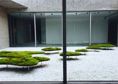 an indoor garden with moss growing on the ground and in front of a building that has glass doors