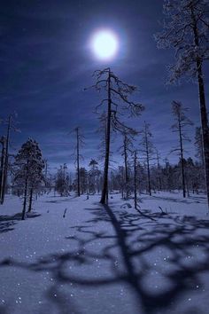 the full moon shines brightly in the night sky over a snow covered field with trees