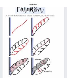 four different types of feathers with the words tarakenn written in red and black