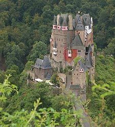 an aerial view of a castle in the woods