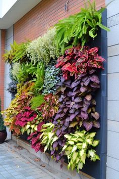 a vertical garden wall with plants growing on it