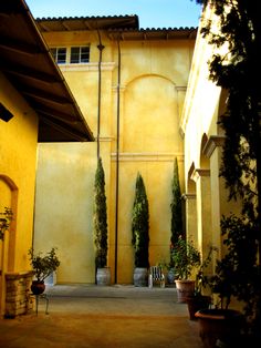 an archway between two buildings with potted plants