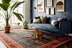 a living room filled with furniture and a large potted plant on top of a rug