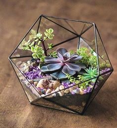 a glass terrarium filled with succulents and rocks on a wooden table