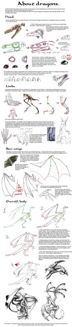 the different types of fishing lures and their uses info sheet, with instructions for how to use them