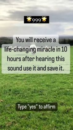 a sheep standing on top of a lush green field next to a sign that reads, you will receive a life - changing miracle in 10 hours after having this sound