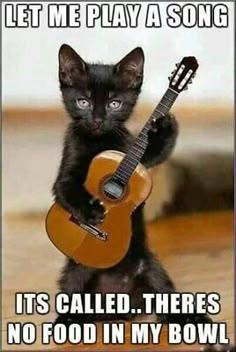 a black kitten playing a guitar with caption that says, let me play a song it's called theres no food in my bowl