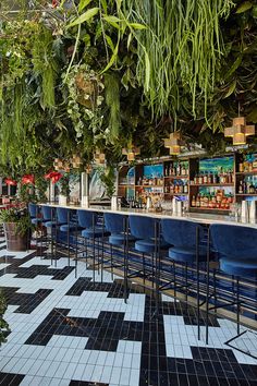 an outdoor bar with blue chairs and plants hanging from the ceiling, along with tiled flooring