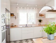 a potted plant sitting on top of a kitchen counter next to a sink and oven