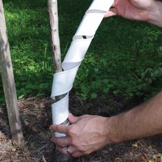 a man is holding a piece of paper in his hand next to a small tree