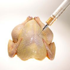 a chicken being vaccinated by a syringe on it's head