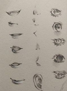 a drawing of different types of eyes