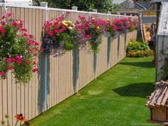 three different types of flowers hanging on the side of a fence