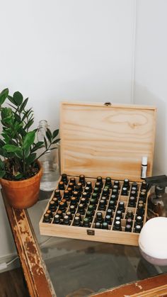 Should I Start Using Essential Oils? - Tory Stender Doterra Diffuser, Doterra Oil, Are Essential Oils Safe, Doterra Essential Oils Recipes, What Are Essential Oils, Essential Oils Guide, Essential Oil Benefits, Natural Preservatives, Doterra Oils