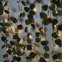 Artificial Eucalyptus Leaf Garland, Battery Operated LED, Fairy String Lights Vine String Lights, Battery Operated Garland, Window Garland, Bridal Party Tables, Led Garland, Feuille Eucalyptus, Eucalyptus Leaf, Theme Nature, Green Eucalyptus