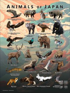 the animals of japan are depicted in this poster, which shows them all different species