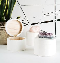 three different types of crystal kniob boxes in front of a potted plant