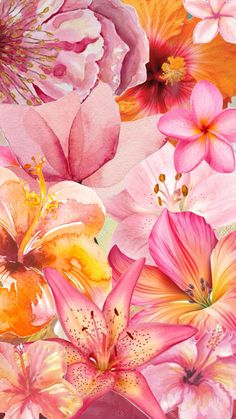 a bunch of flowers that are next to each other in pink and orange colors on a green background