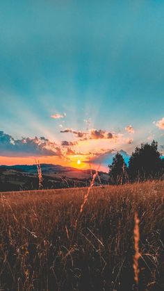 the sun is setting over a field with tall grass