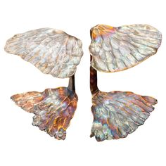 two seashells are sitting on top of each other in the shape of wings