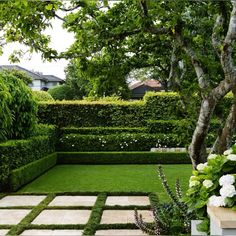 a garden with grass and white flowers in the center, surrounded by hedges on both sides