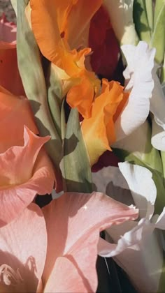 an assortment of flowers are shown in this close up photo, including orange and white blooms