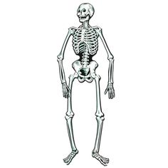 a skeleton is standing with its legs crossed and it's head turned to the side