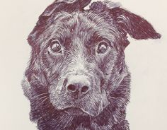 a drawing of a black dog with a bird on its head, looking at the camera