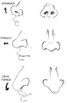 how to draw the nose with different facial expressions