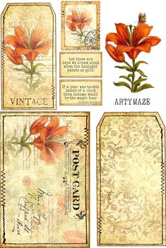 an old fashioned postcard with orange flowers on the front and back side, as well as